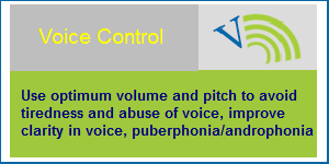 Vagmi Trainer - Voice Control Module